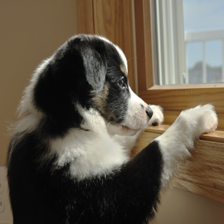 savings on your energy - ECO DRAFT – The Sash & Casement Window Draft Proofing Company.t